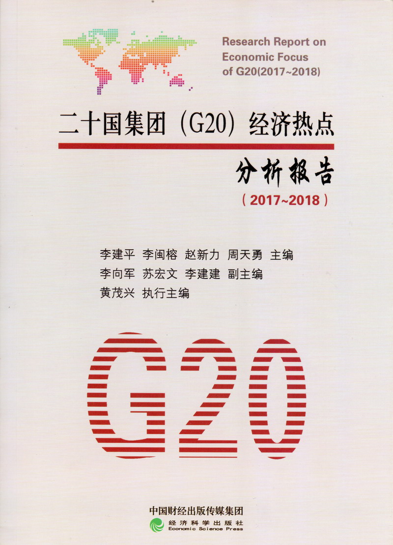 艹艹笔91二十国集团（G20）经济热点分析报告（2017-2018）